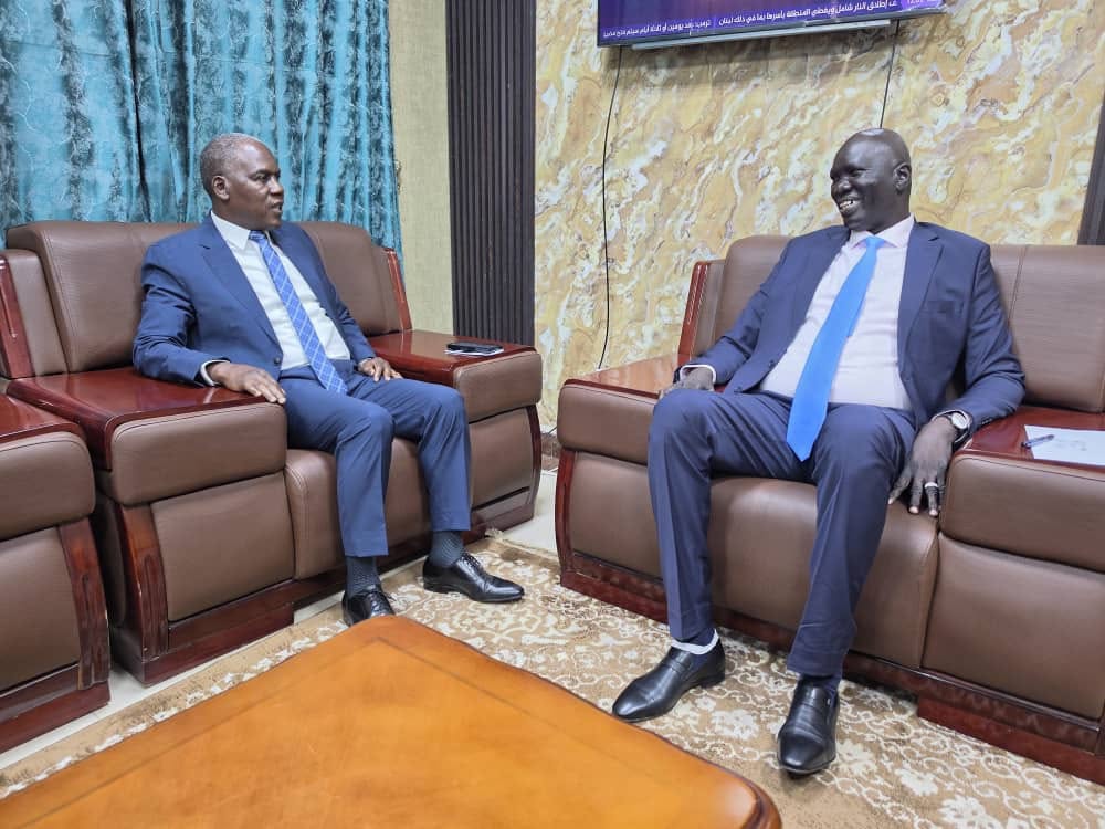 ENERGY MINISTER CONVENES WITH ZIMBABWEAN AMBASSADOR OVER COOPERATION