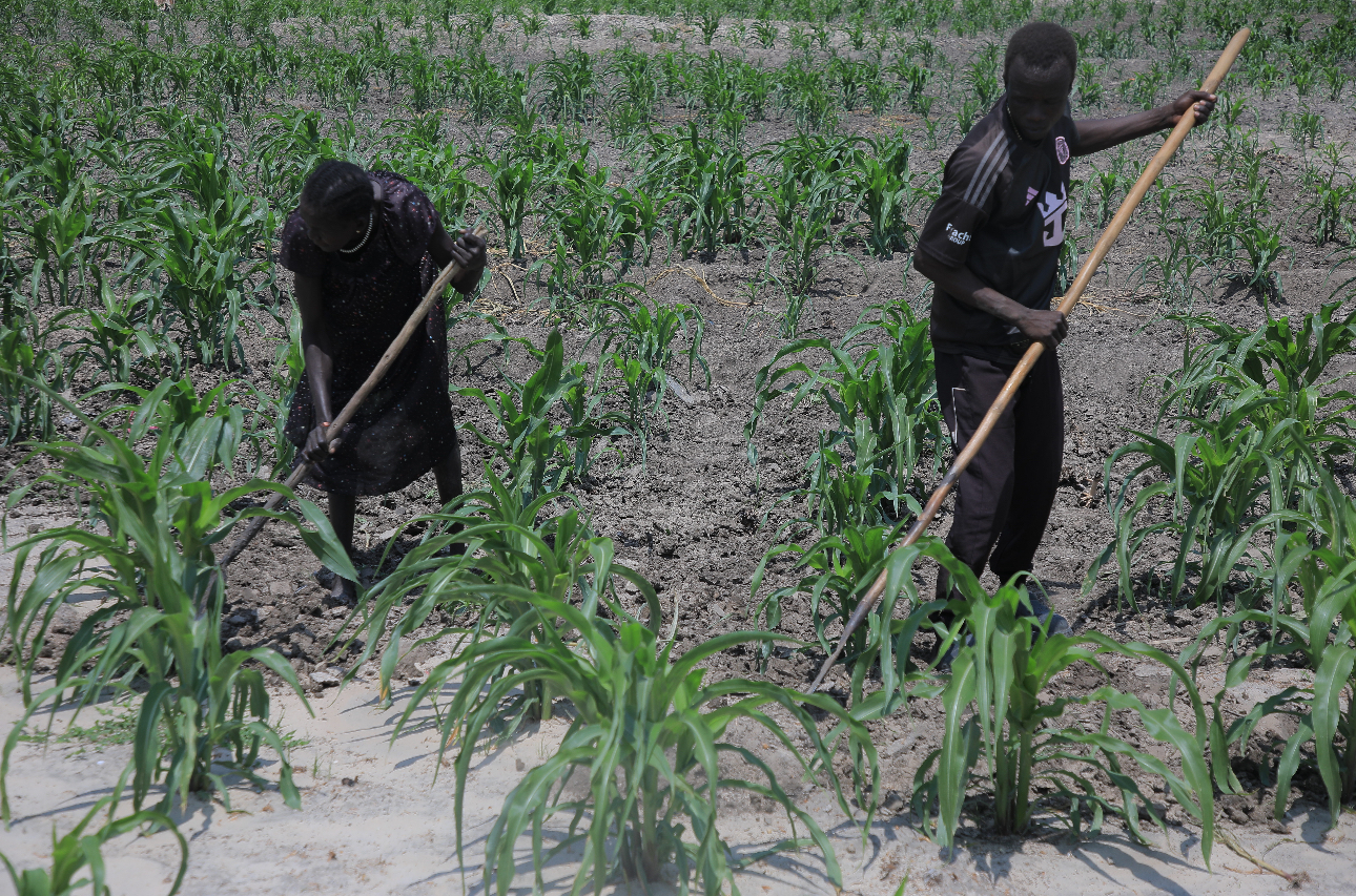 RUBKONA COMMUNITIES RESUME FARMING AFTER LAND RECLAMATION