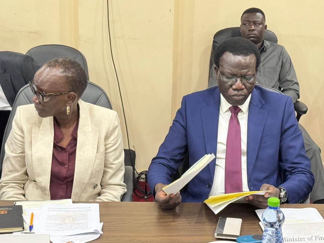 Economic Reform Committee Discusses Implementation Mechanisms For Decision On Nimule Mission