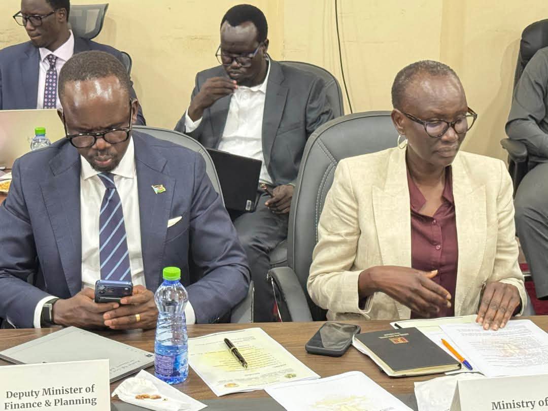 ECONOMIC REFORM COMMITTEE DISCUSSES IMPLEMENTATION MECHANISMS FOR DECISION ON NIMULE MISSION