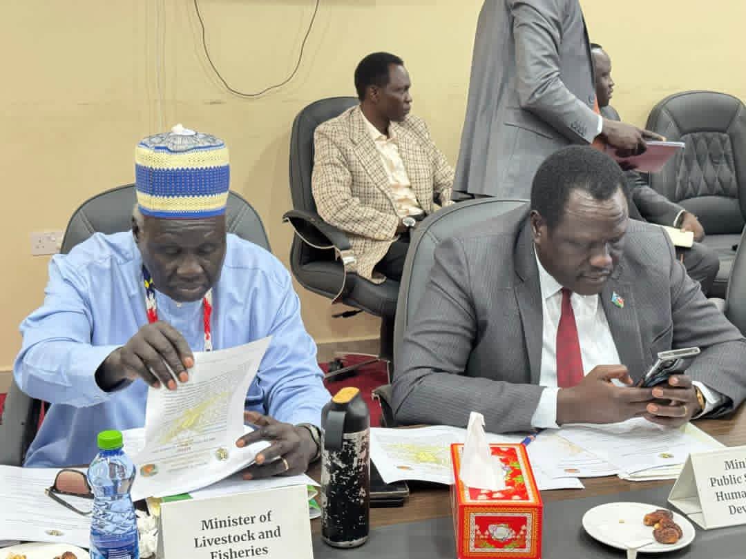 ECONOMIC REFORM COMMITTEE DISCUSSES IMPLEMENTATION MECHANISMS FOR DECISION ON NIMULE MISSION