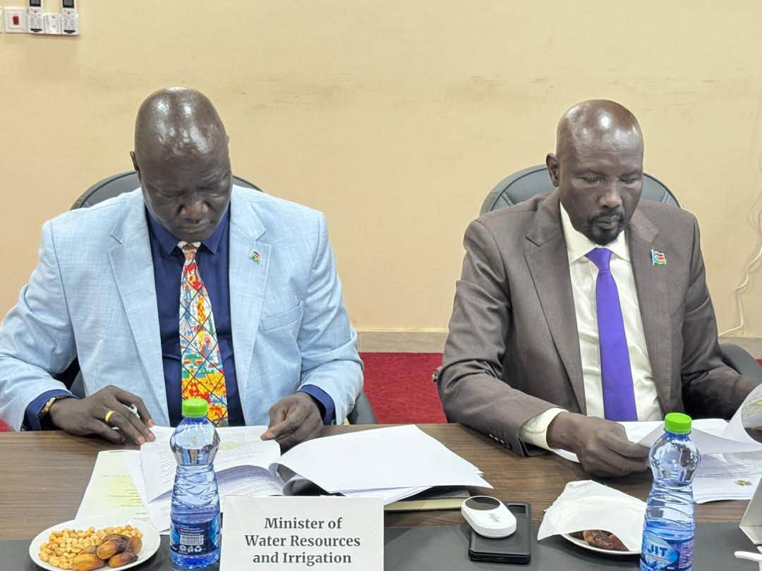 ECONOMIC REFORM COMMITTEE DISCUSSES IMPLEMENTATION MECHANISMS FOR DECISION ON NIMULE MISSION